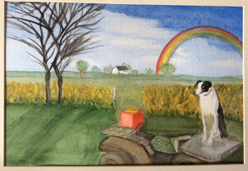 Daughter's dog waiting after the rain, then out came a rainbow!
